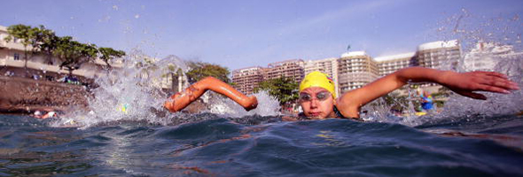 XV Pan American Games