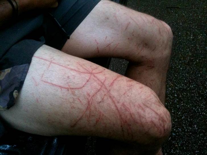 6a00d83451d2fd69e20168e99fe97b970c