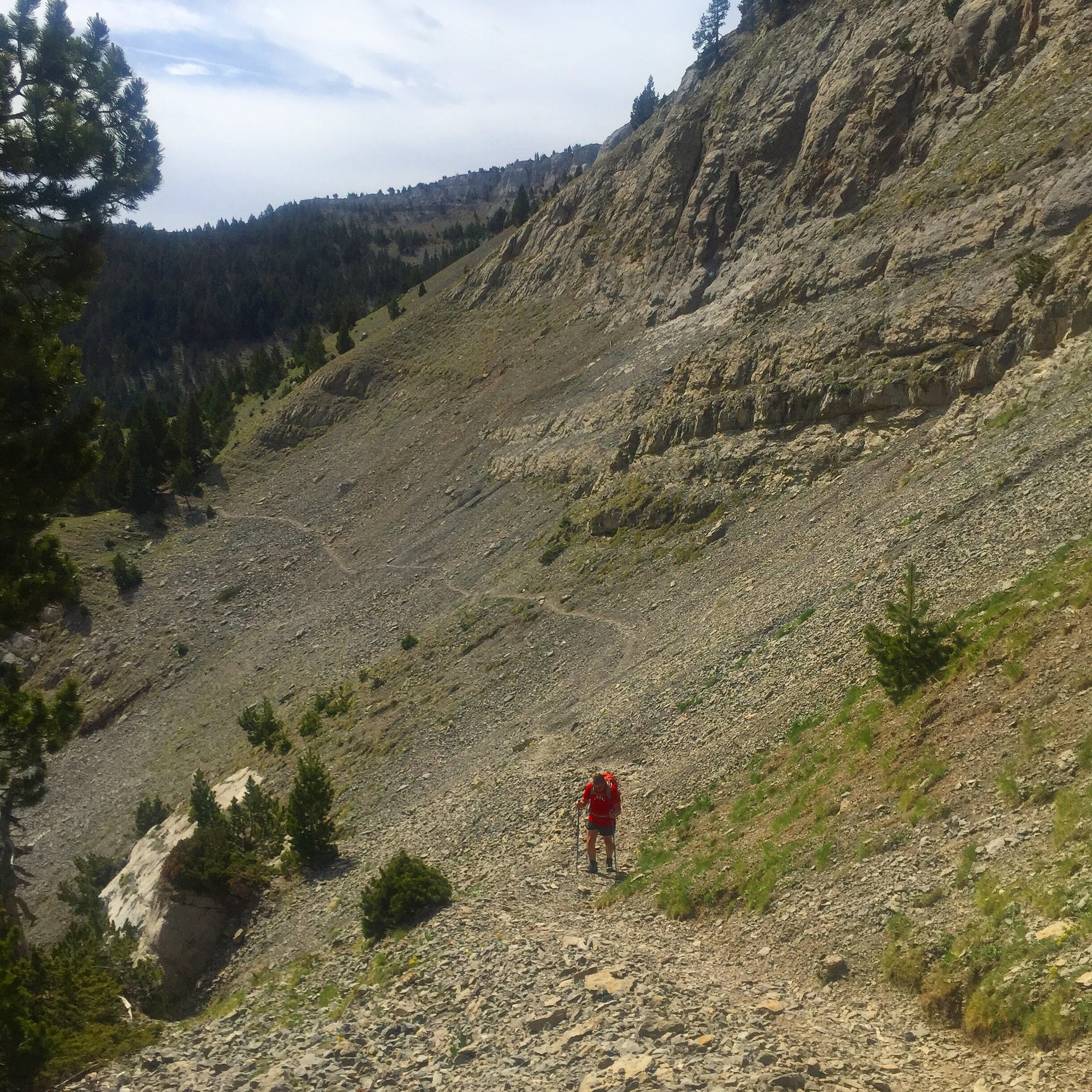 CD12416F-F7A7-4B6B-85DE-AB8EBFAA002E