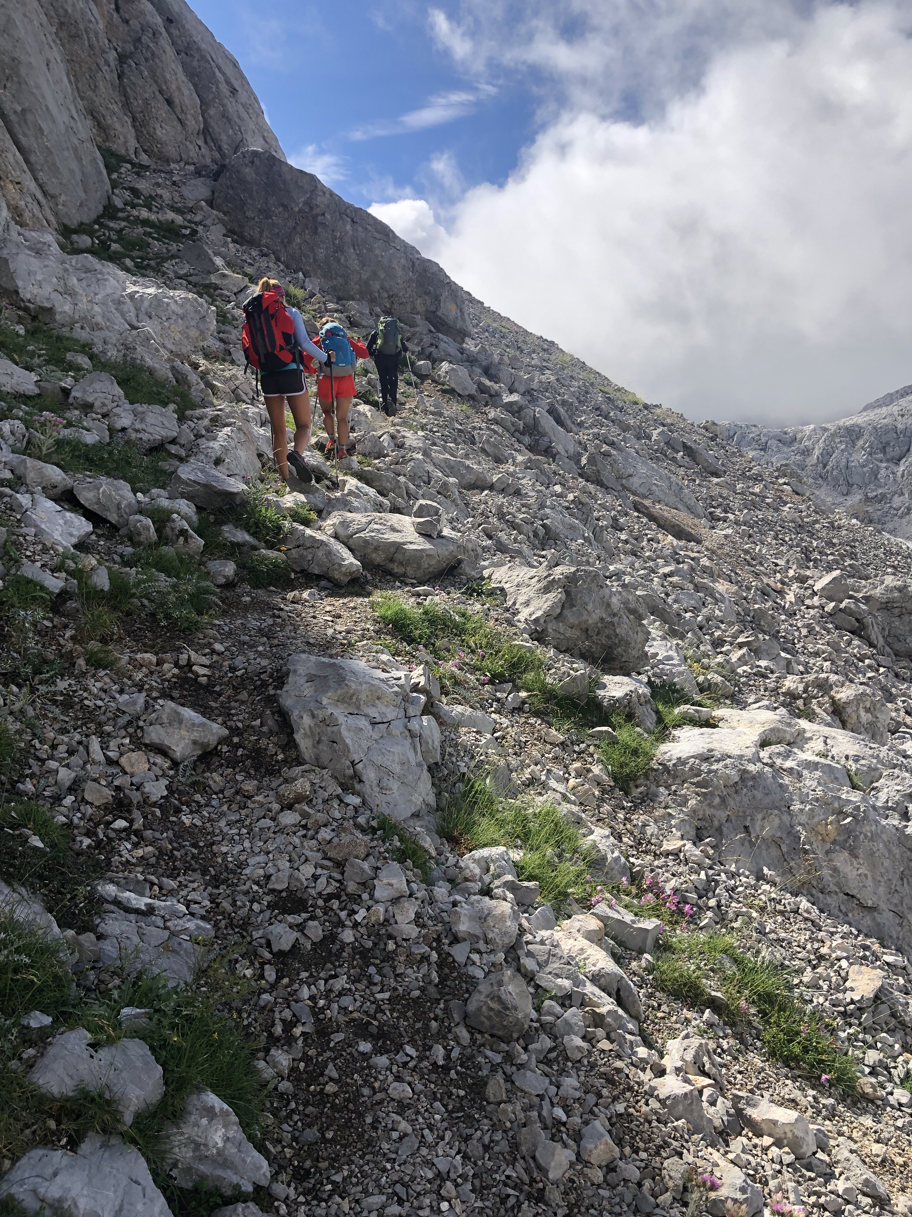 MdJ28K3UTnqm6yagrkeoHg