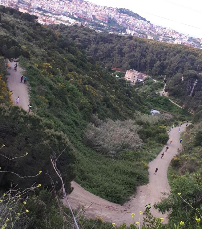 img_tayala_20200502-195845_imagenes_lv_terceros_can_masdeu-kfkD--656x742@LaVanguardia-Web